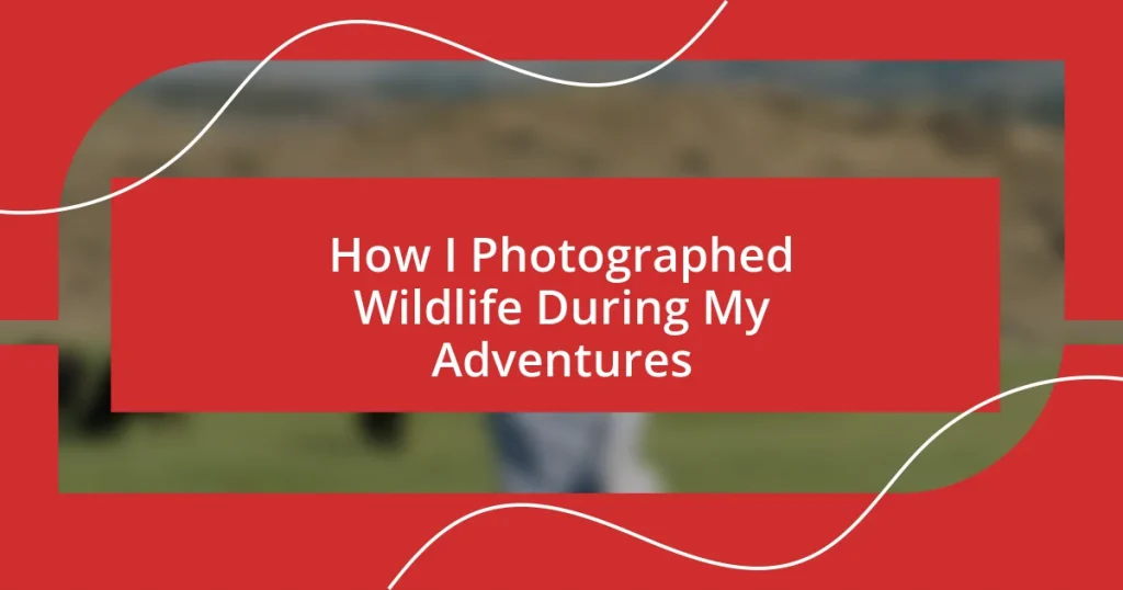 How I Photographed Wildlife During My Adventures