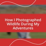 How I Photographed Wildlife During My Adventures